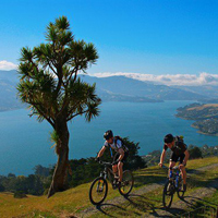 CYCLING & COOKING